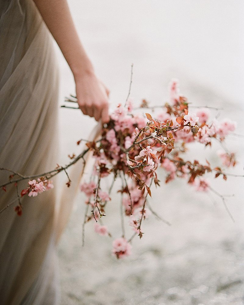 Bouquet de fleurs de cerisier
