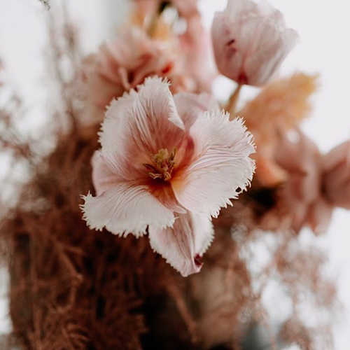Fleurs pour un mariage printannier