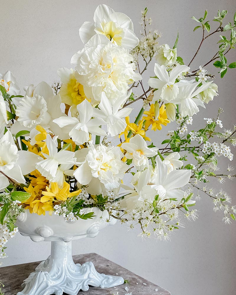 Déco florale narcisses blanches