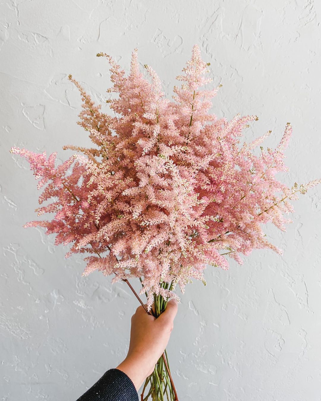 Bouquet cocooning d'astilbes