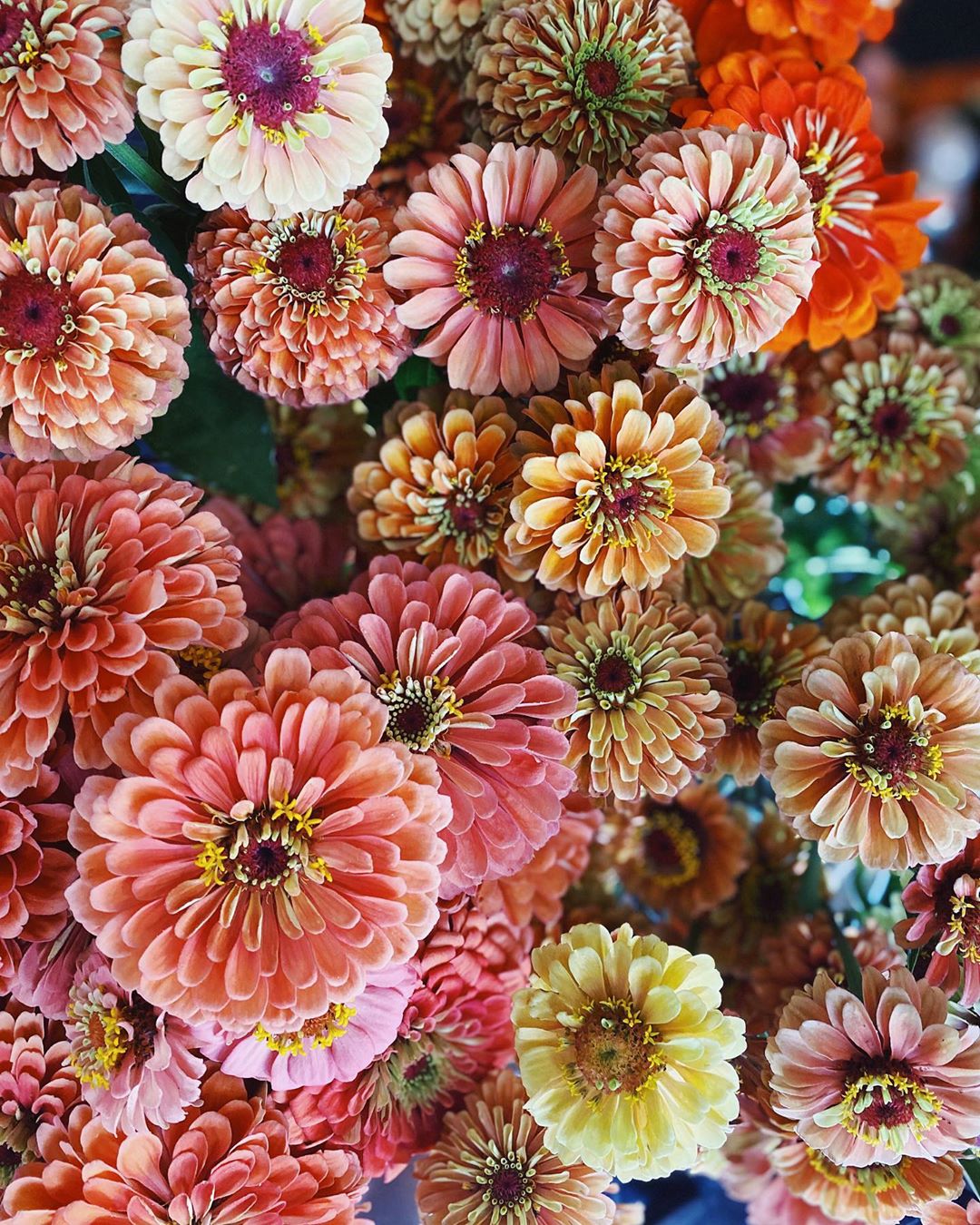 Fleurs de saison pour un mariage d'été