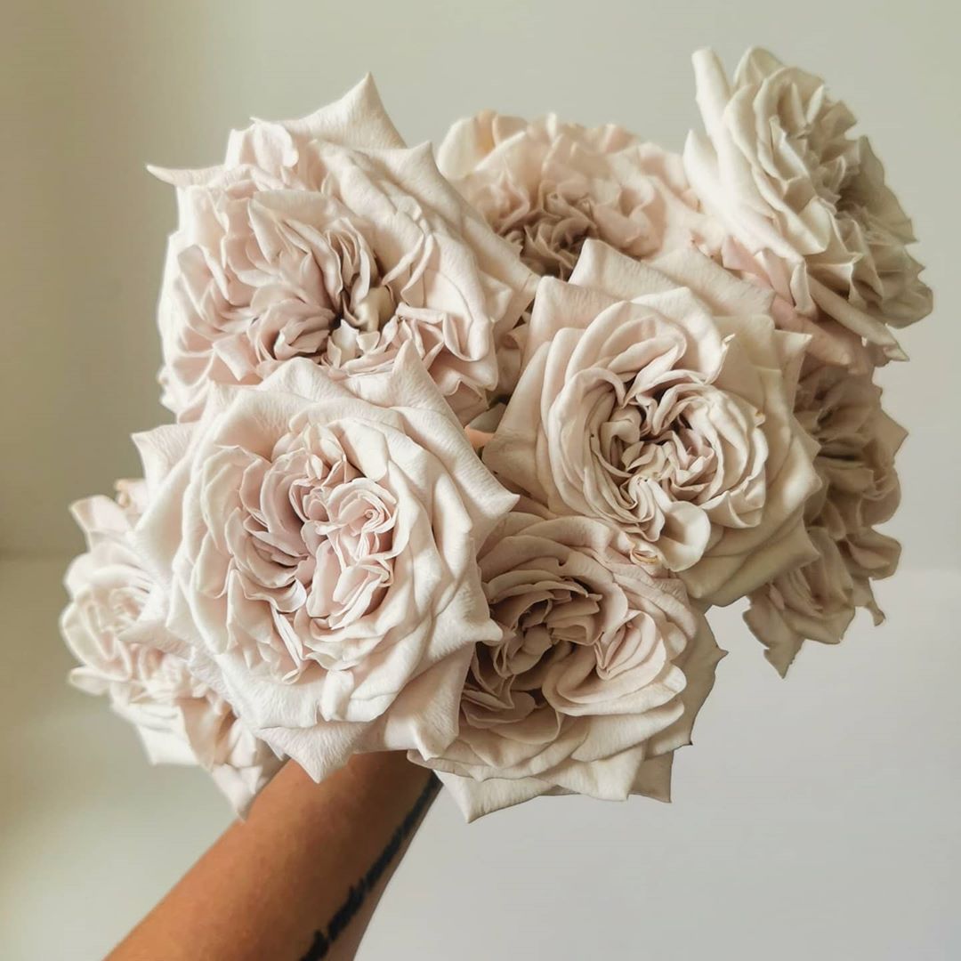 Bouquet de roses de jardin