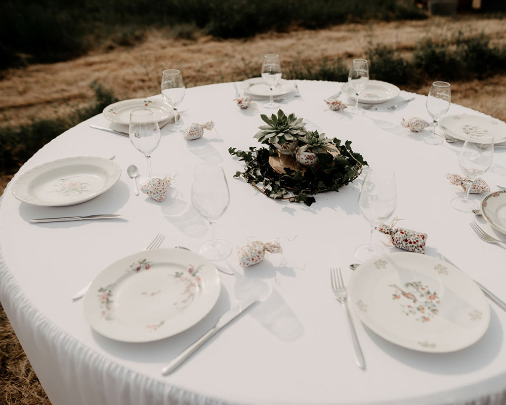 Centre table plante grasse