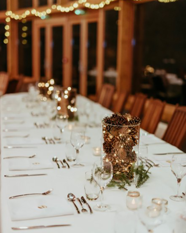 Centre table pommes de pin lumineux