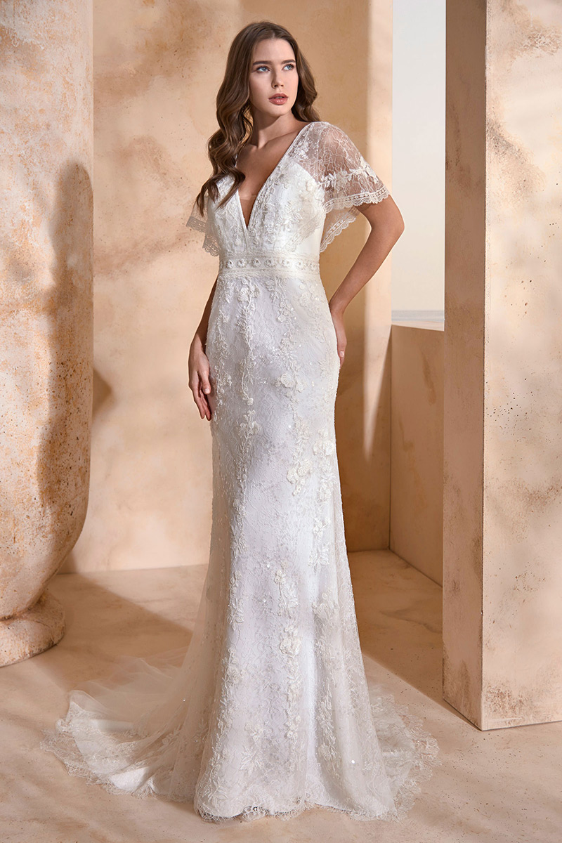 Robe longues en dentelle brodée